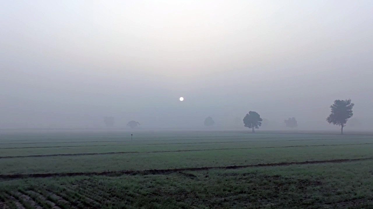 माउंट आबू आज भी शून्य पर, मैदानी इलाकों, कारों के शीशे, छतों पर बर्फ की परत जमी