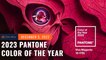 ‘Viva Magenta’ is Pantone’s 2023 color of the year
