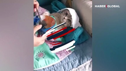 Hastalanan kedi bu durumu fazla abarttı