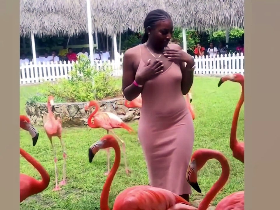 Try Not To Laugh Challenge! Funny Pranks and Scare Cam Fails #1