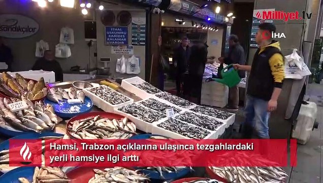Hamsi Trabzon açıklarına ulaşınca tezgahlardaki yerli hamsiye ilgi arttı