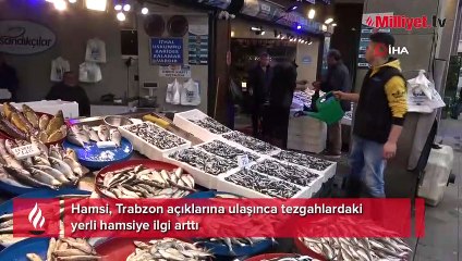 Hamsi Trabzon açıklarına ulaşınca tezgahlardaki yerli hamsiye ilgi arttı