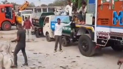 आगर: आवारा गौवंश को पकड़कर छोड़ा जा रहा गो-अभ्यारण, लोगों को मिलेगी राहत..