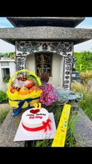 Chồng mất, người mẹ đưa con nhỏ ra thăm mộ mừng sinh nhật bố