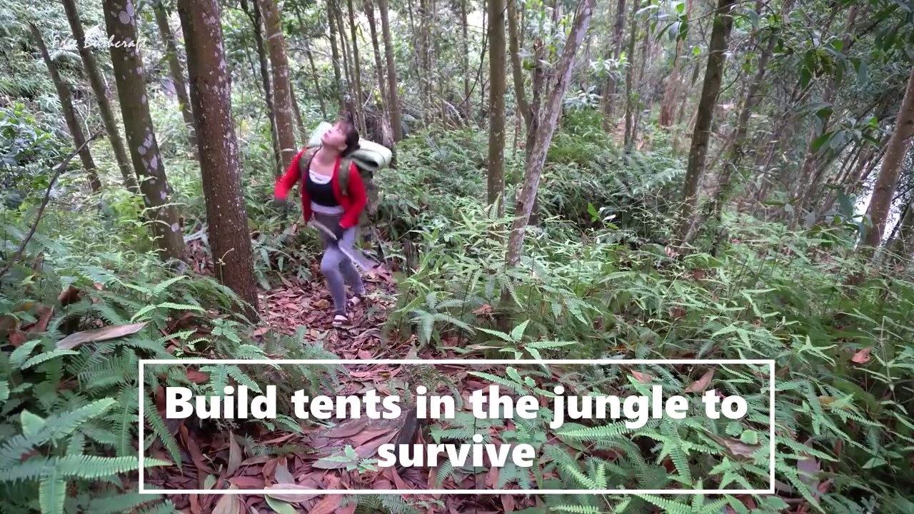 camping and surviving in the forest alone