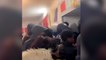 Angleterre-Sénégal : la retransmission perturbée par du gaz lacrymogène à Mantes-la-Jolie