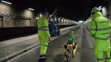 Robot dog named ‘Dave’ helping build tunnel at Heathrow Airport