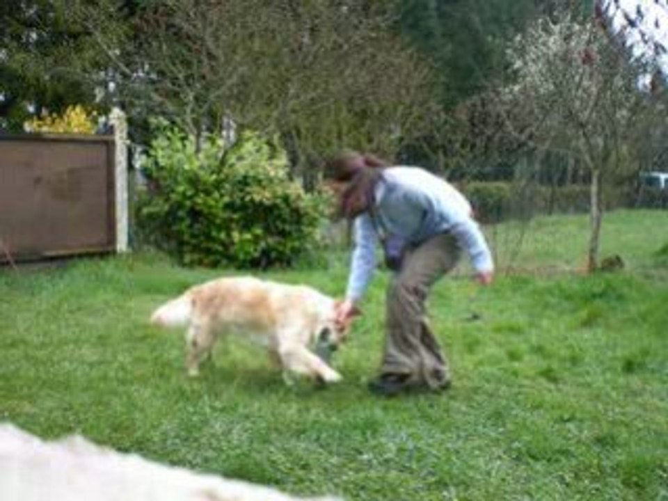 Photo 022