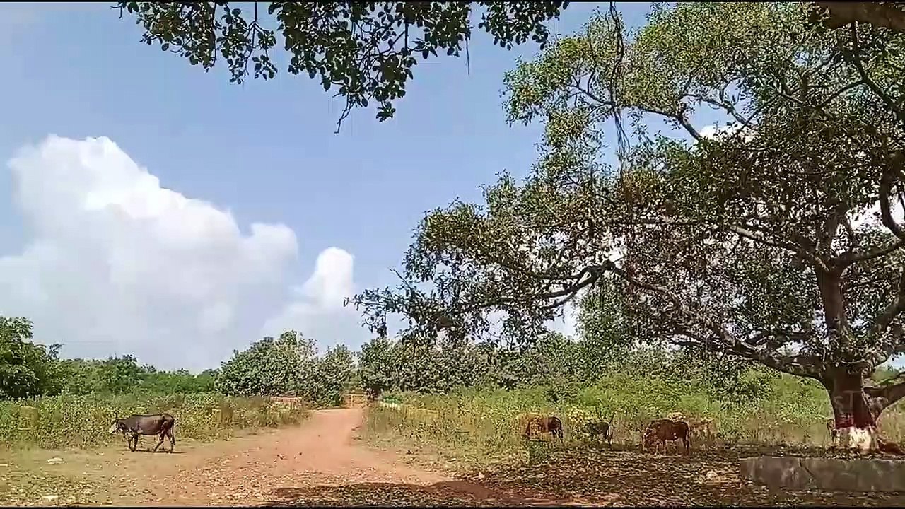 A_Awesome_place_in_Hubli_called_Devergudhal_Lake_by_South_Western_Railway_good_location_for_students