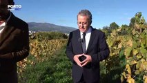 Imperdíveis  - A prova dos novos - Alumni Wine and Cheese - Collection 2022