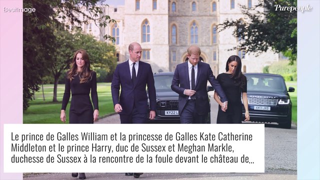 Avides d'argent , calculateur , sournois ... : Les voisins de Meghan et Harry se lâchent, ça balance pas mal !
