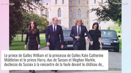"Avides d'argent", "calculateur", "sournois"... : Les voisins de Meghan et Harry se lâchent, ça balance pas mal !