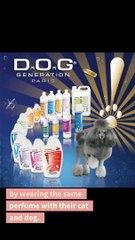 Perfume has gone to the dogs - A Journalism Story