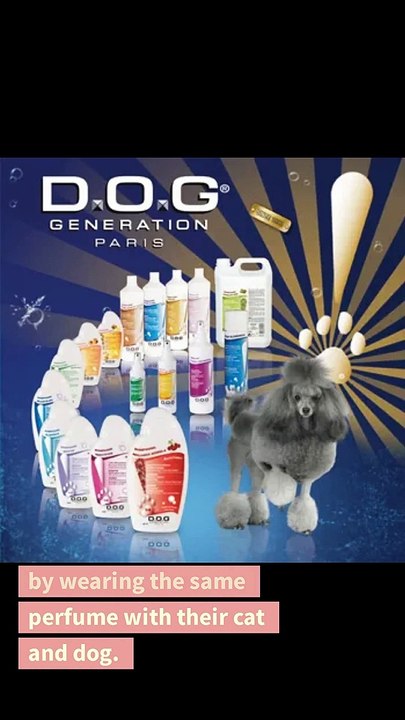 Perfume has gone to the dogs - A Journalism Story