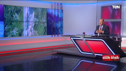 "درة تاج البحر الأبيض المتوسط".. الديهي: المنتزه صفعة جديدة على وجوه المشككين في اللي بيحصل في مصر