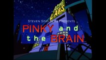 Pinky y Cerebro Temporada 1 Episodio 1 Pinky y Cerebro viajan por mar en un submarino para hallar el ingrediente clave de una mezcla para panqueques hipnótica.
