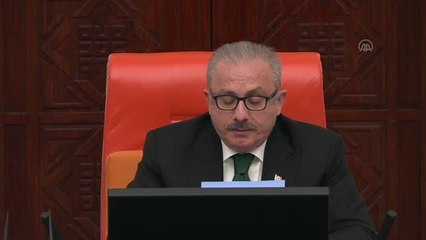 2023 Yılı Bütçesi TBMM Genel Kurulunda - İYİ Parti Grup Başkanvekili Usta