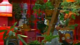 The Mary Tyler Moore Show S03E24 Mary Richards and the Incredible Plant Lady