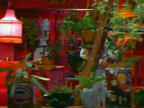 The Mary Tyler Moore Show S03E24 Mary Richards and the Incredible Plant Lady