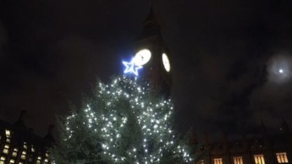 El Parlamento británico enciende su famoso árbol de Navidad entre villancicos