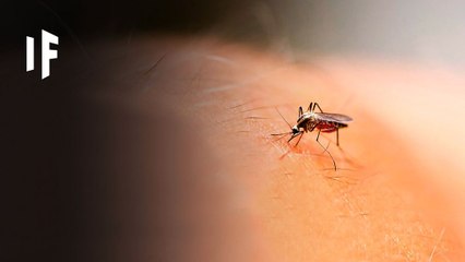 What If We All Mosquitoes Disappeared?