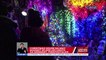 Christmas house na may mahigit 20,000 LED lights sa Germany, pinapasyalan | UB