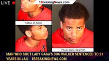 Man who shot Lady Gaga's dog walker sentenced to 21 years in jail - 1breakingnews.com