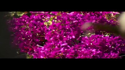 Olaf — „Ich mach's wie die Sonnenuhr“