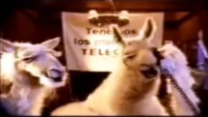 La Llama que llama - Tenemos los planes de Telecom - Telecom - Publicidad (1999-2002)
