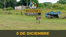 Noticias Regiones de Venezuela hoy - Lunes 05 de Diciembre de 2022 | @VPItv