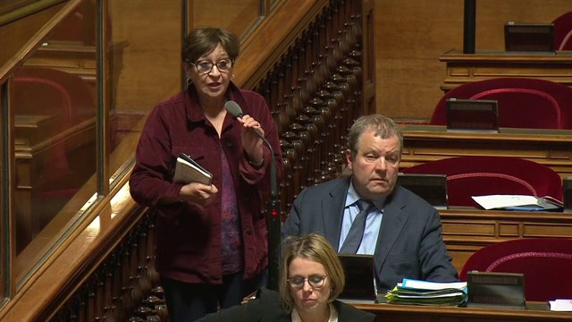 Cabinets de conseil : le Sénat veut mettre le gouvernement face à ses responsabilités