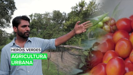 Heróis Verdes: Agricultura urbana