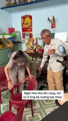 Tiểu thư Sài thành du học Úc 9 năm về bỏ hết sự nghiệp, bầu bạn với người neo đơn