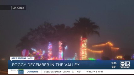 Dense Fog Sweeps Through the Valley 🌫️: Causes and Impact Explained