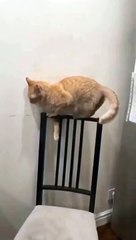 Well, why is it so uncomfortable?