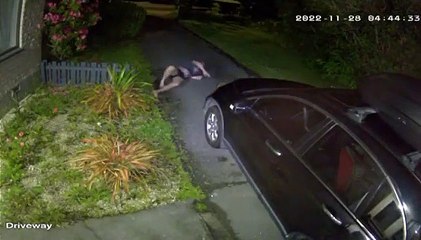 Man Tries to Break Up Cat Fight and Trips on Car