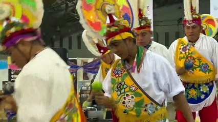 Danza de los Guaguas en la región de Papantla Veracruz