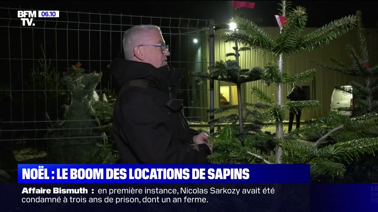Noël: le boom des locations de sapins
