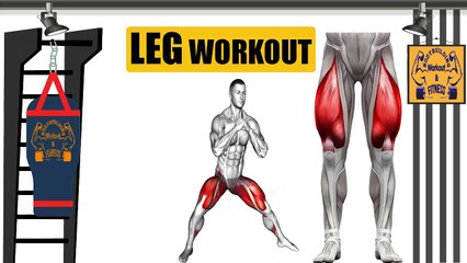Best Leg Training Exercises - leg Workout