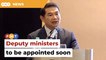 Deputy ministers in a week or two, says Rafizi