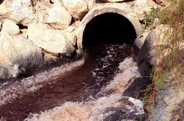 NEHRE DÖKÜLEN KİMYASAL ATIKLAR, BİNLERCE ARI VE BALIĞI ÖLDÜRDÜ