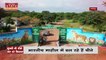 Madhya Pradesh News : भारतीय माहौल में ढल रहे है Africa से आए चीतें | Cheetah News |