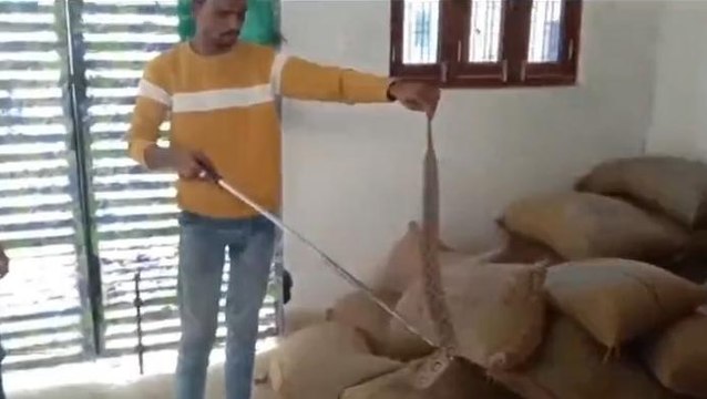 विदिशा: घर में निकला जहरीला कोबराब, रेस्क्यू के दौरान हुआ ये कांड...