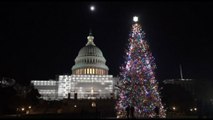 Alberi di Natale da tutti gli Stati Uniti illuminano Washington