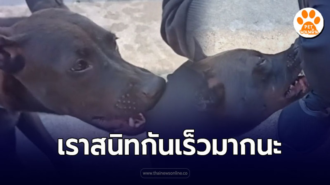 เจอกันยังไมถึง 5 นาที สนิทกันเร็วมาก