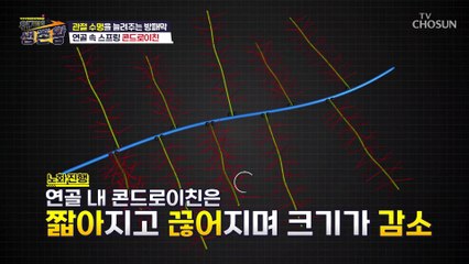 연골에 수분을 보충하여 탄력성을 연장해주는 ⌜콘드로이친⌟ TV CHOSUN 221206 방송