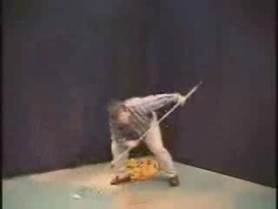 starwars kid  terminator