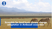 Scramble for land hurts climate change adaptation in Amboseli ecosystem