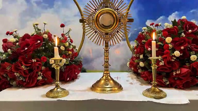 Rev Fr Mario-David Dibie (Director Lumen Christi Family Adoration Ministry was live. By Rev Fr Mario-David Dibie (Director Lumen Christi Family Adoration Ministry