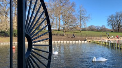 Leeds locals recommend where to walk and walk to watch this winter